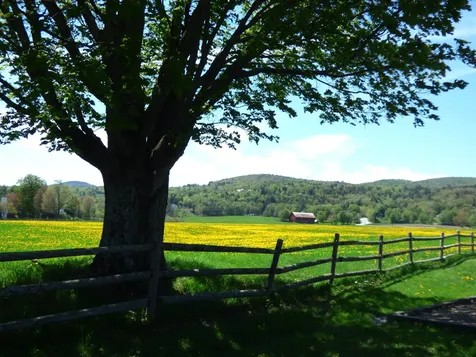 8 Wildlife Road Stowe VT 05672