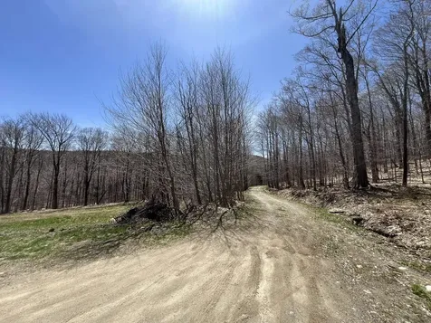 6878 Streeter Road Wardsboro VT 05360