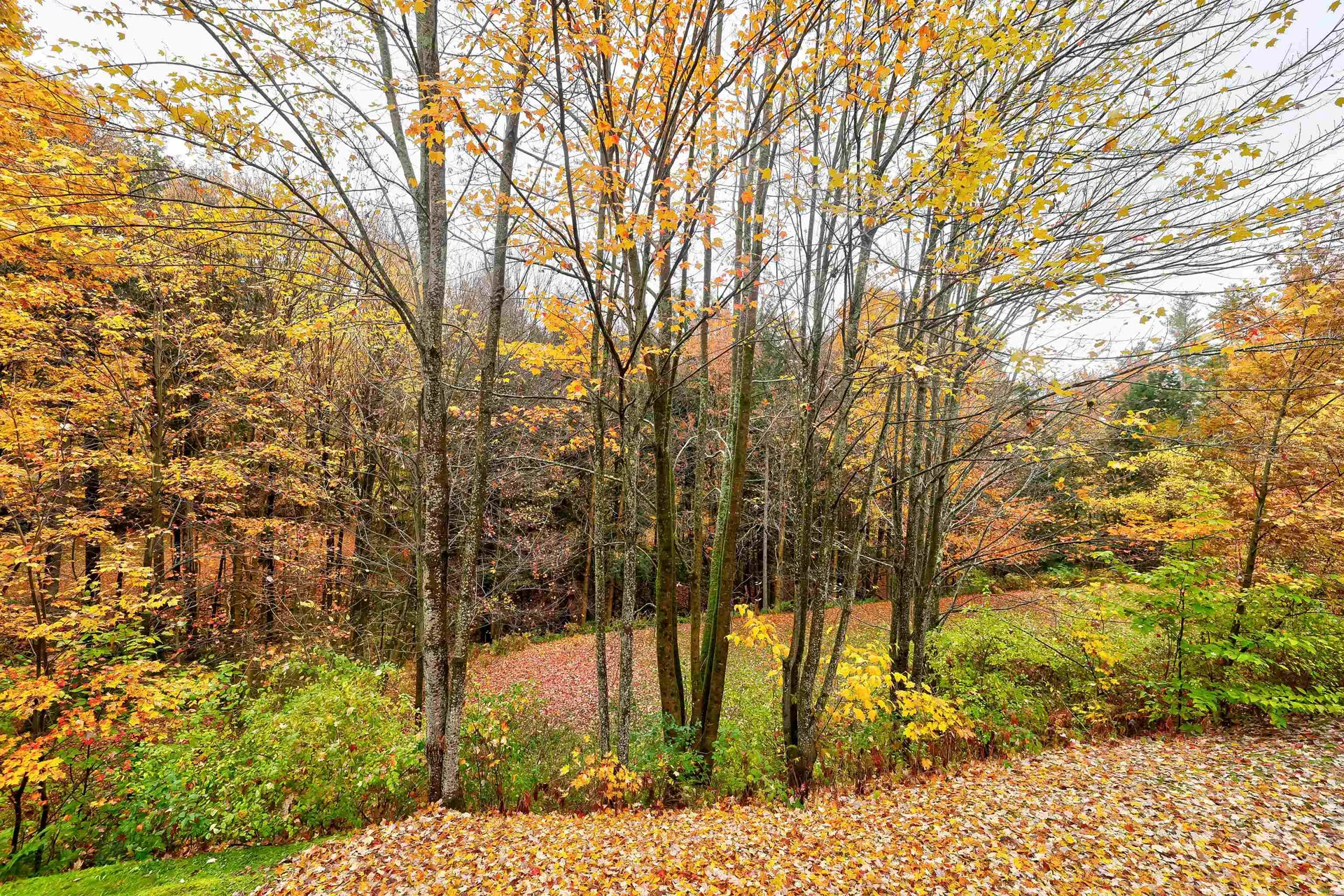 233 Fox Hill Road Stowe VT 05672