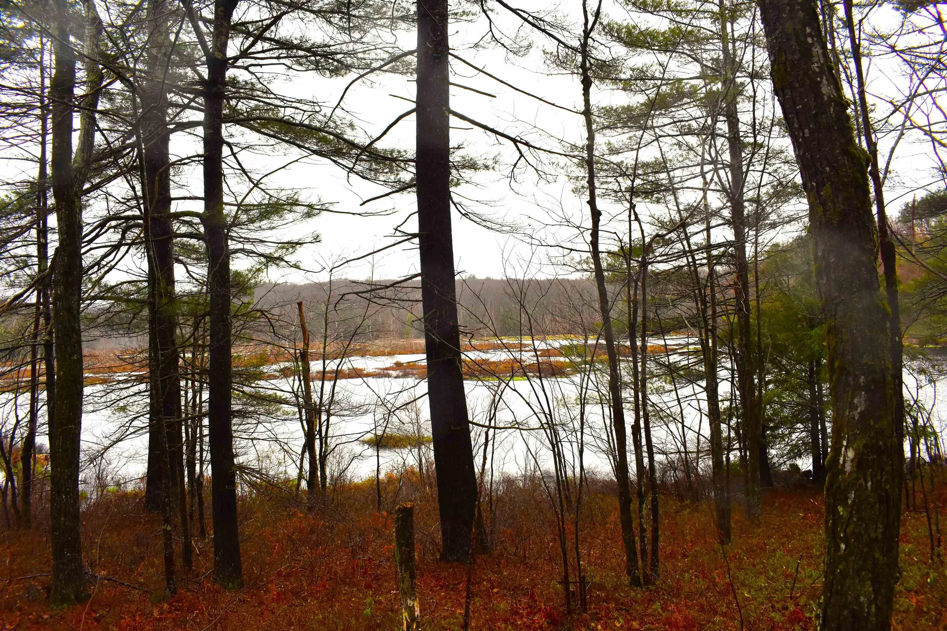 00 Windmill Hill Road Dublin NH 03444