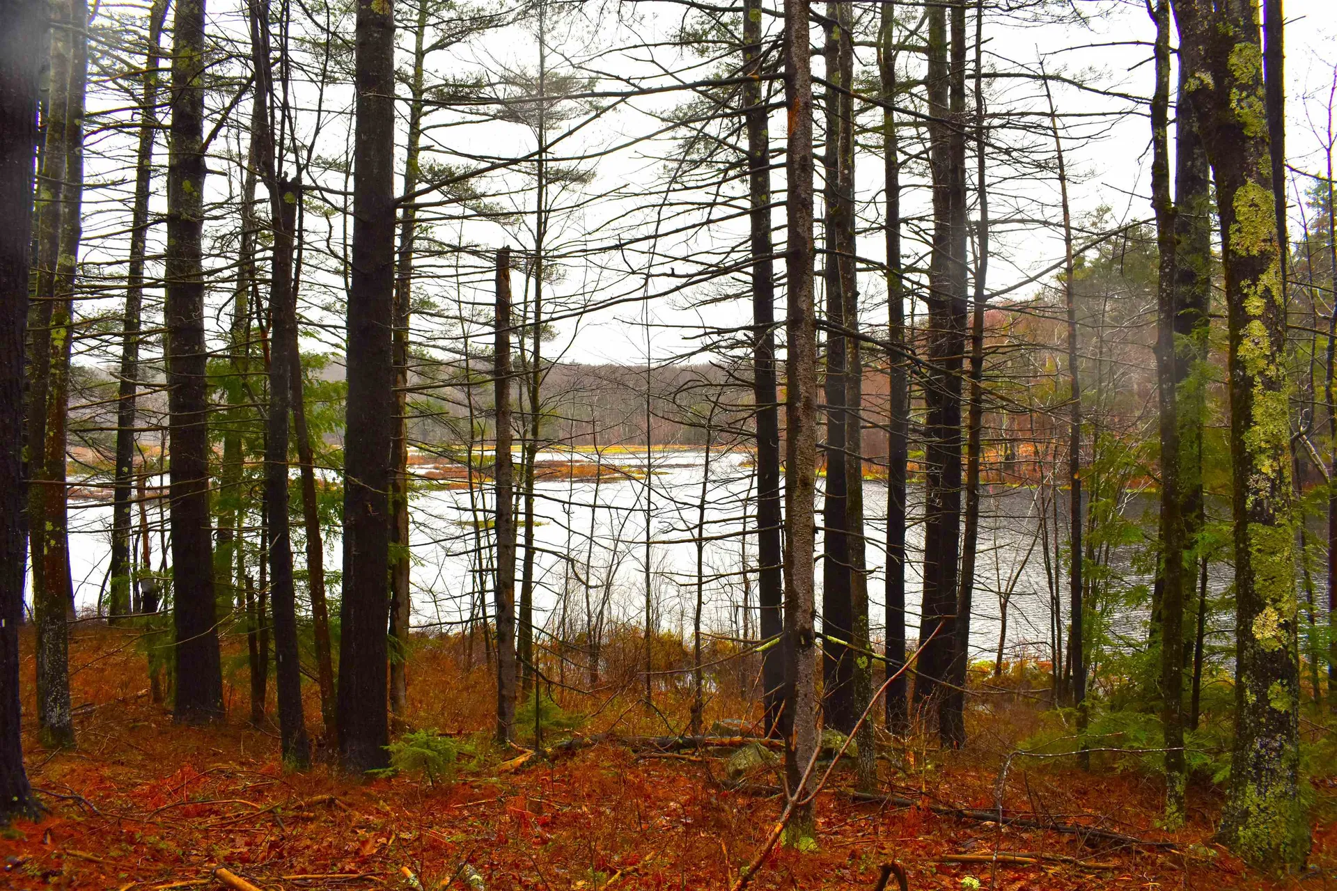 00 Windmill Hill Road Dublin NH 03444