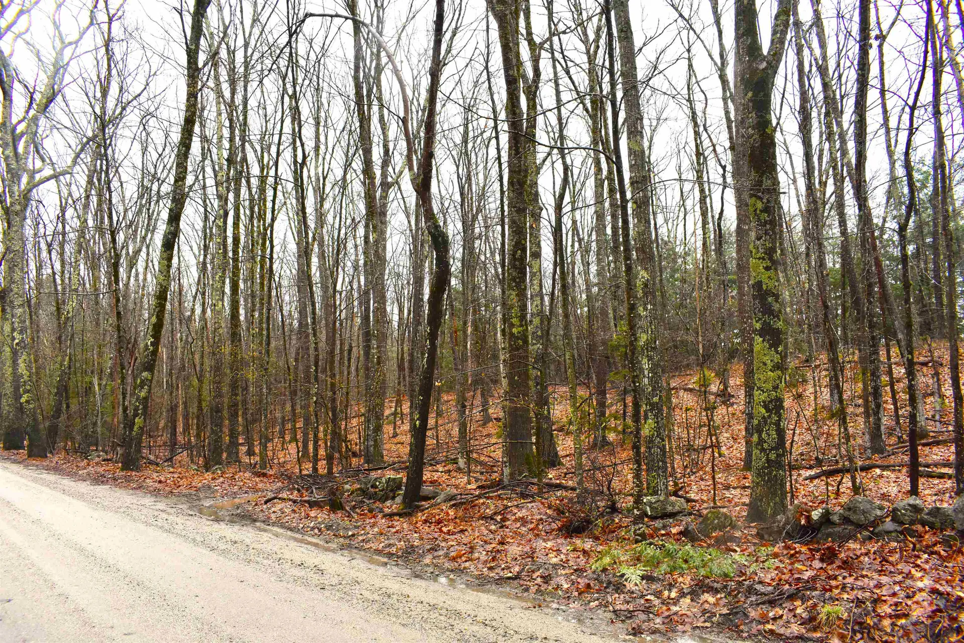 00 Windmill Hill Road Dublin NH 03444