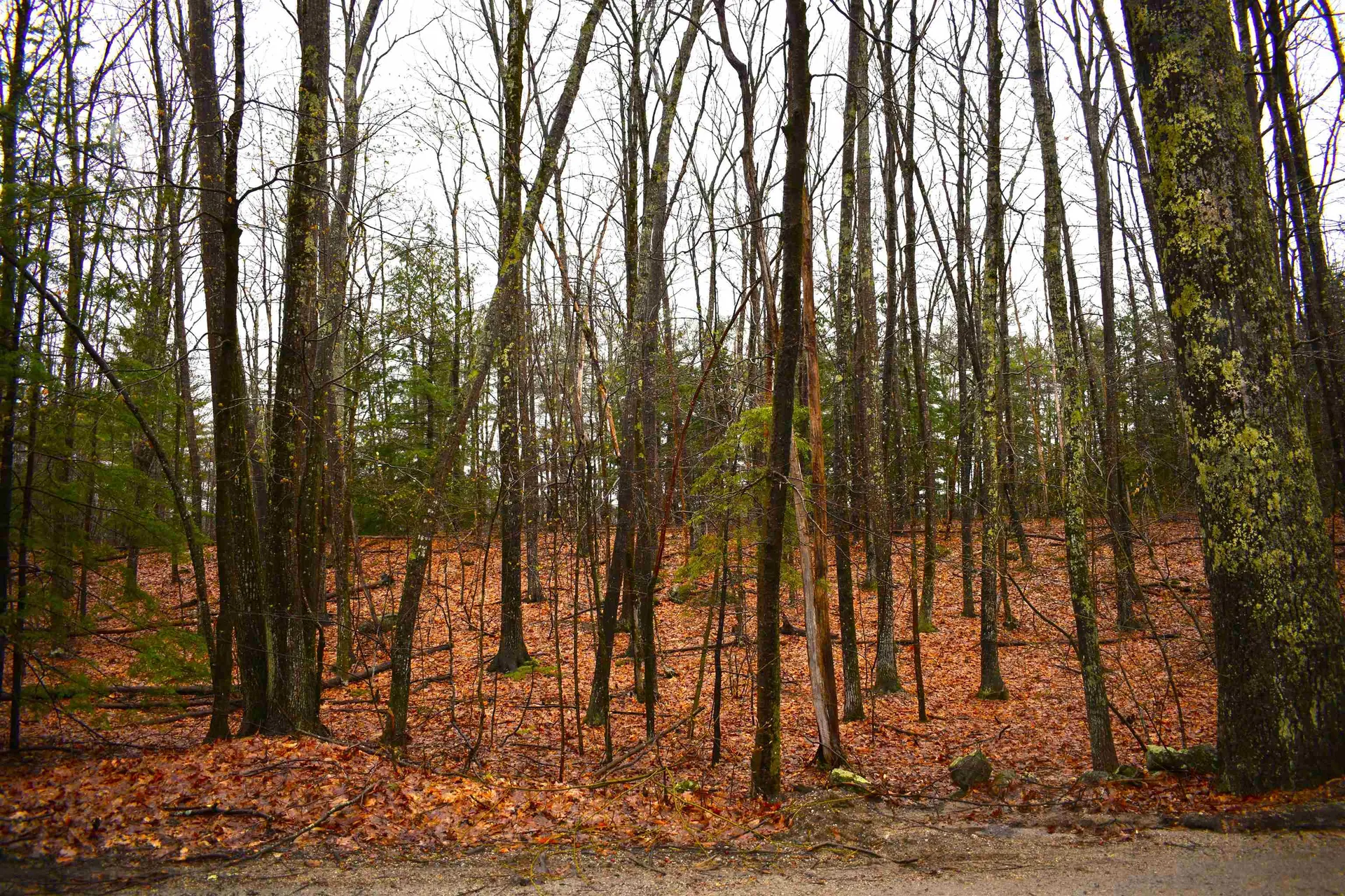 00 Windmill Hill Road Dublin NH 03444