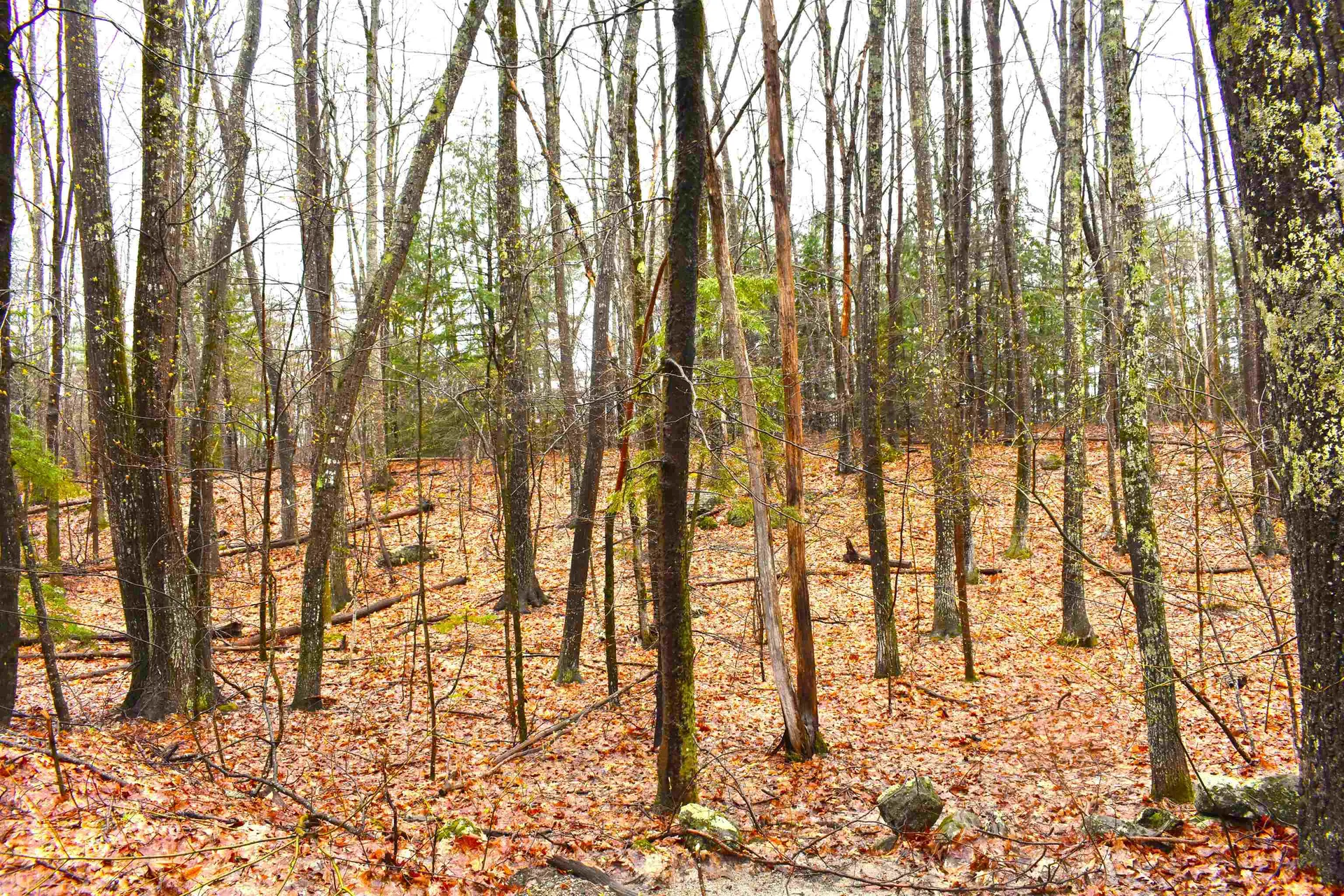 00 Windmill Hill Road Dublin NH 03444