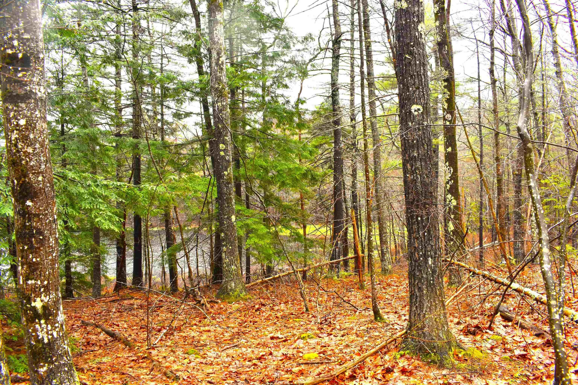 00 Windmill Hill Road Dublin NH 03444