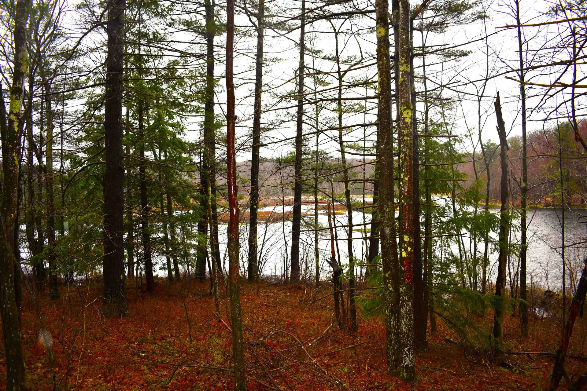 00 Windmill Hill Road Dublin NH 03444