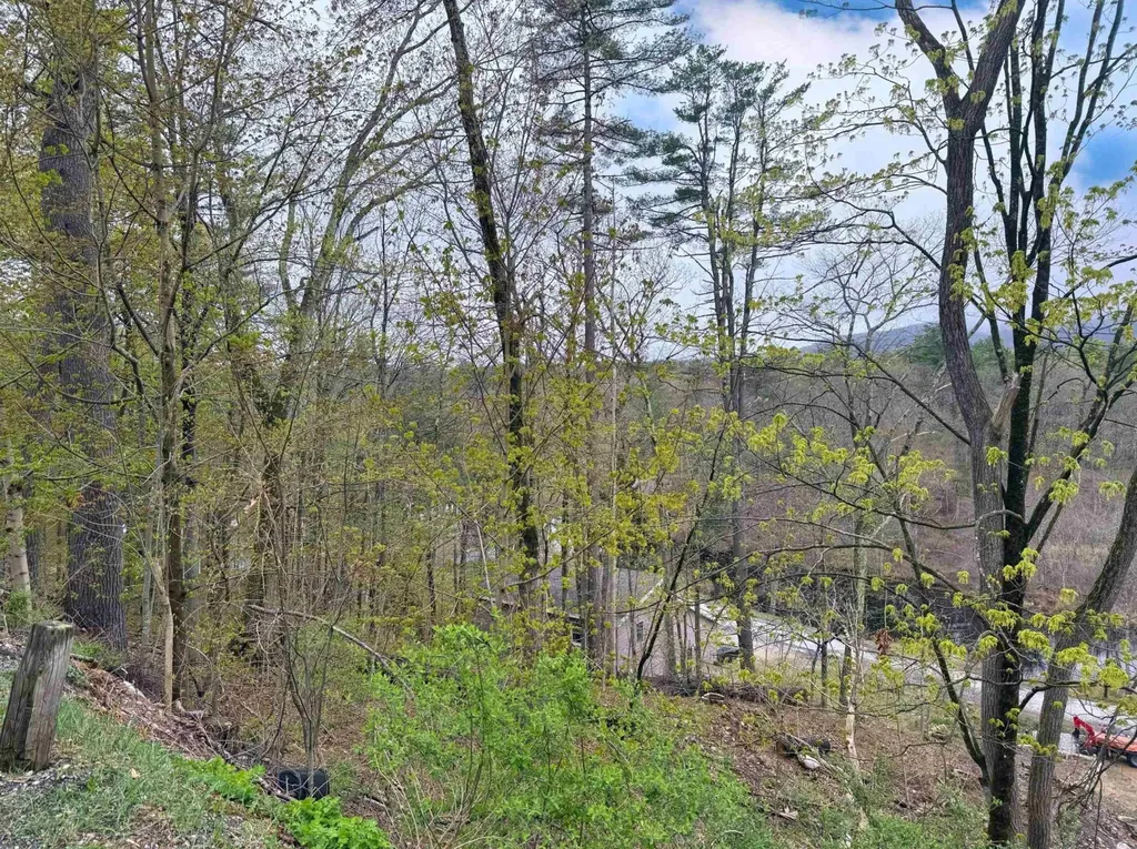 247 Main Street Alton NH 03809