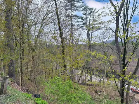 247 Main Street Alton NH 03809