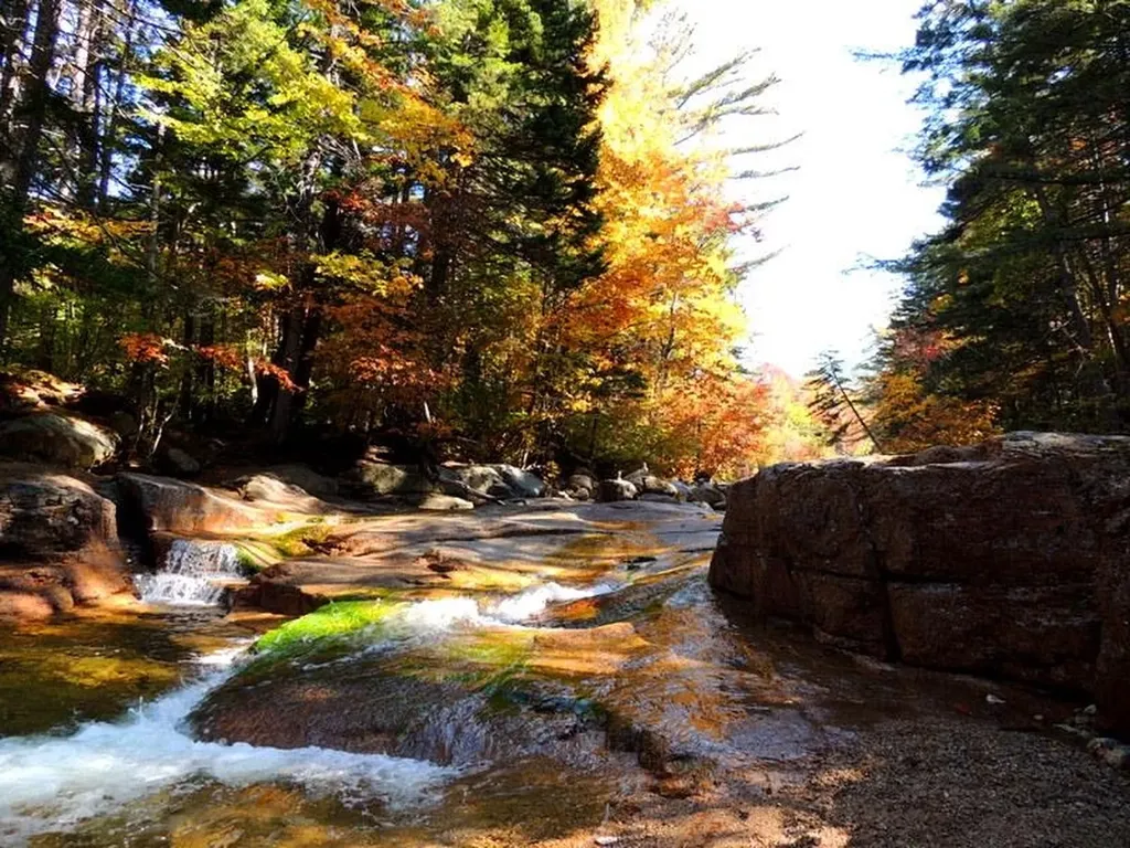 90 Loon Mountain Road Lincoln NH 03251