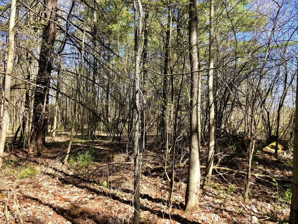 0 Grandey Road Addison VT 05491