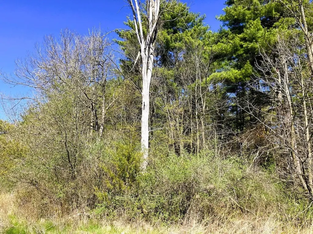 0 Grandey Road Addison VT 05491