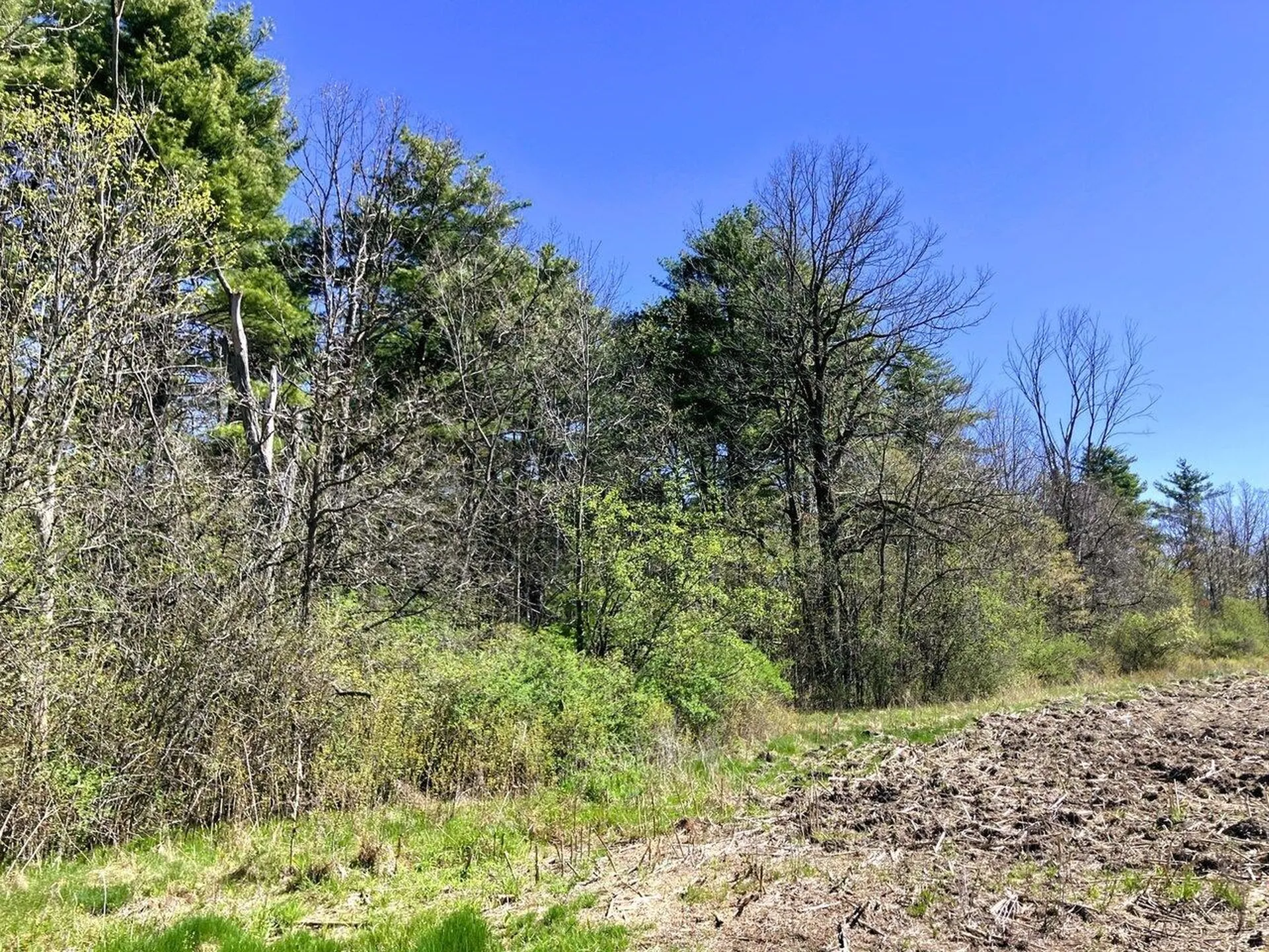 0 Grandey Road Addison VT 05491