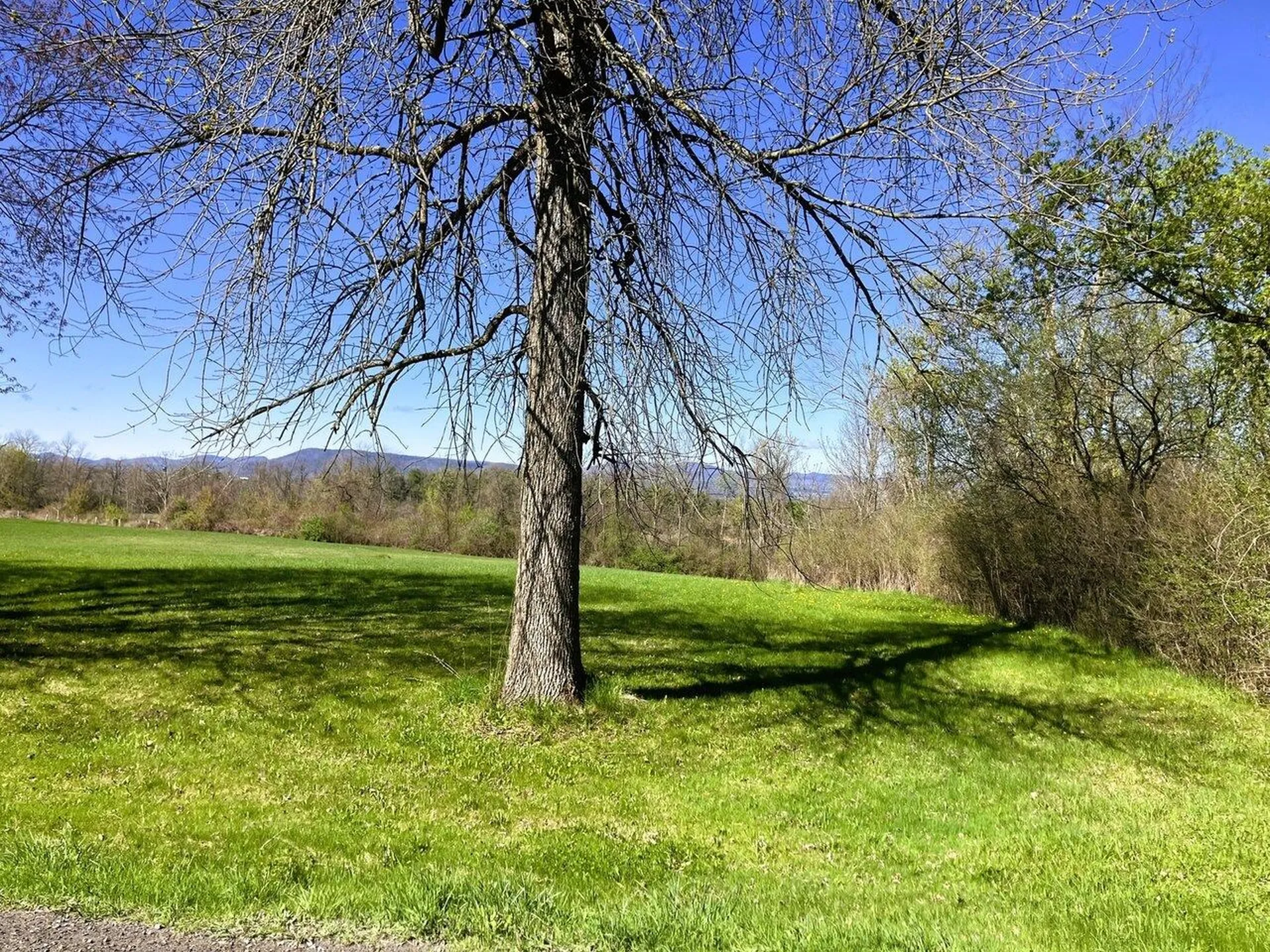 0 Grandey Road Addison VT 05491