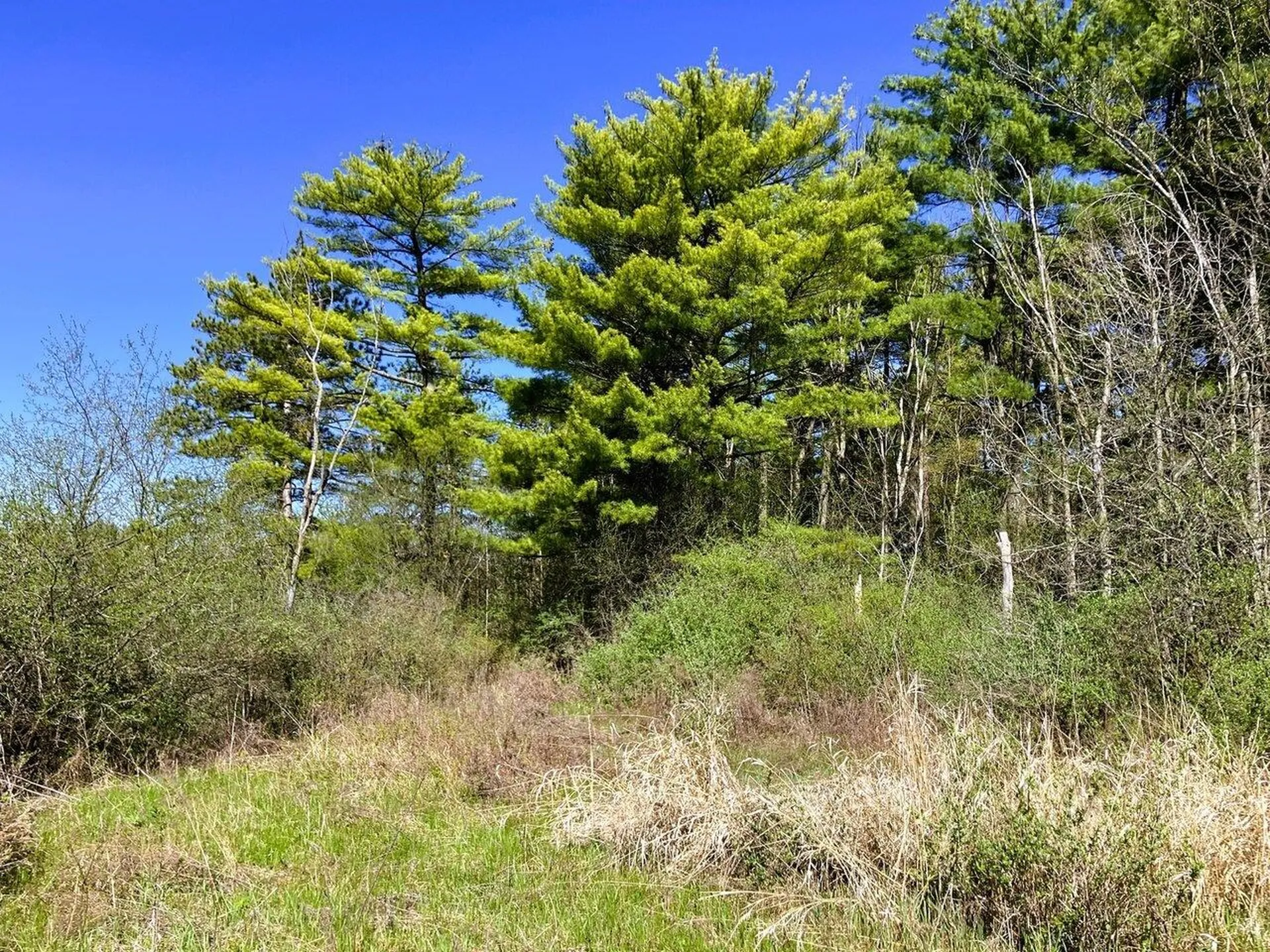 0 Grandey Road Addison VT 05491