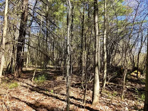 0 Grandey Road Addison VT 05491