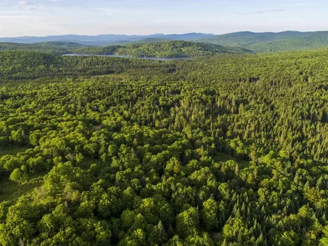 7 Diamond Pond Road Stewartstown NH 03576