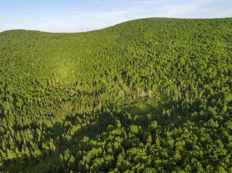 7 Diamond Pond Road Stewartstown NH 03576