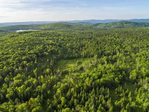 7 Diamond Pond Road Stewartstown NH 03576