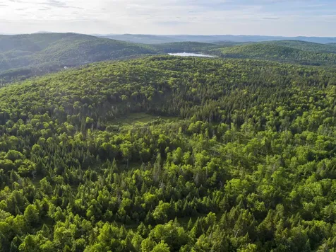 7 Diamond Pond Road Stewartstown NH 03576