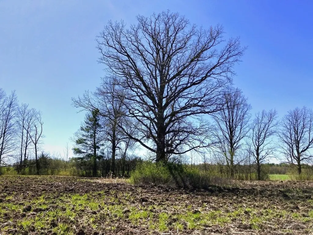 1012 Grandey Road Addison VT 05491