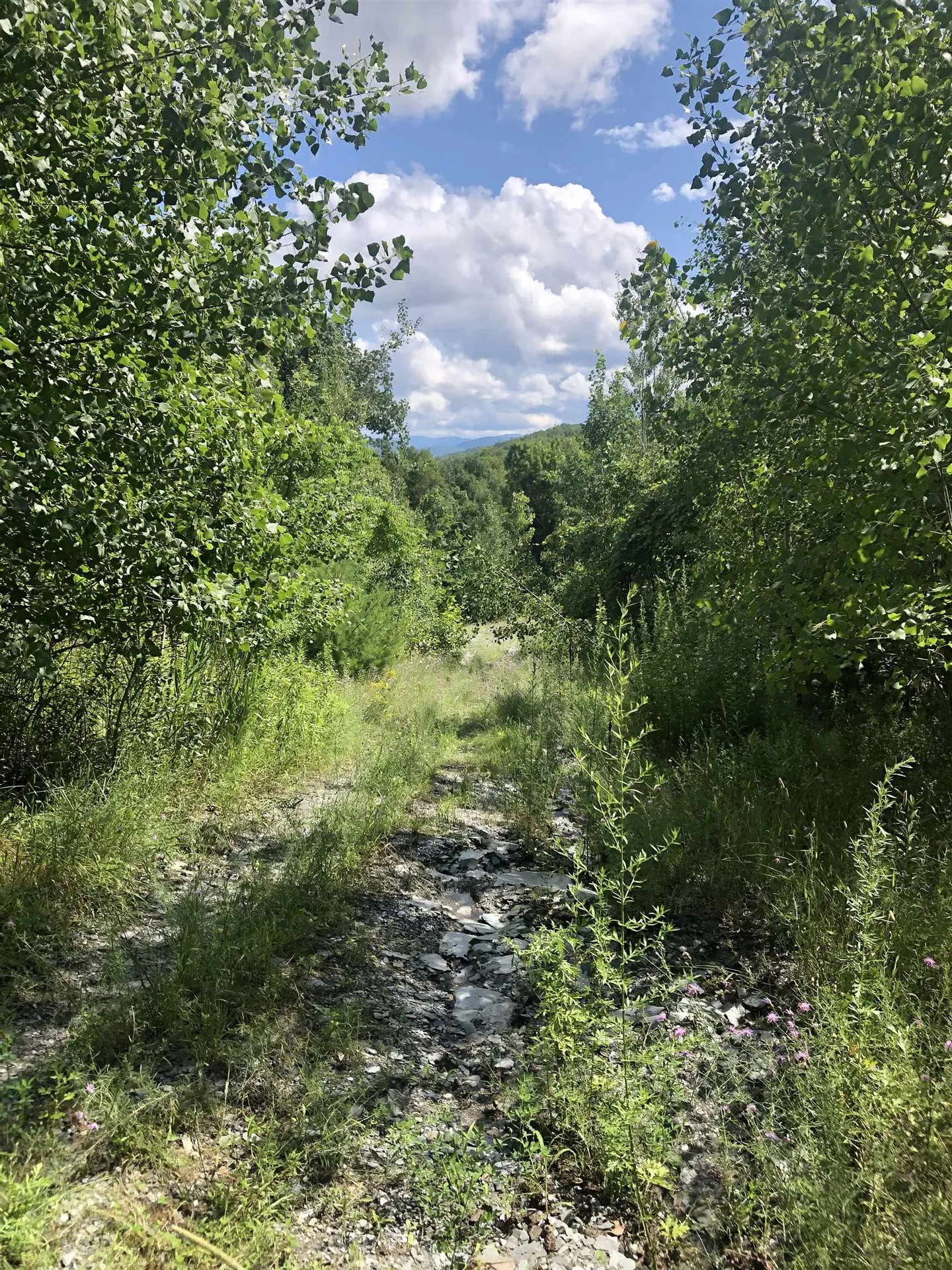 Poultney VT, 0000 West Lake Road