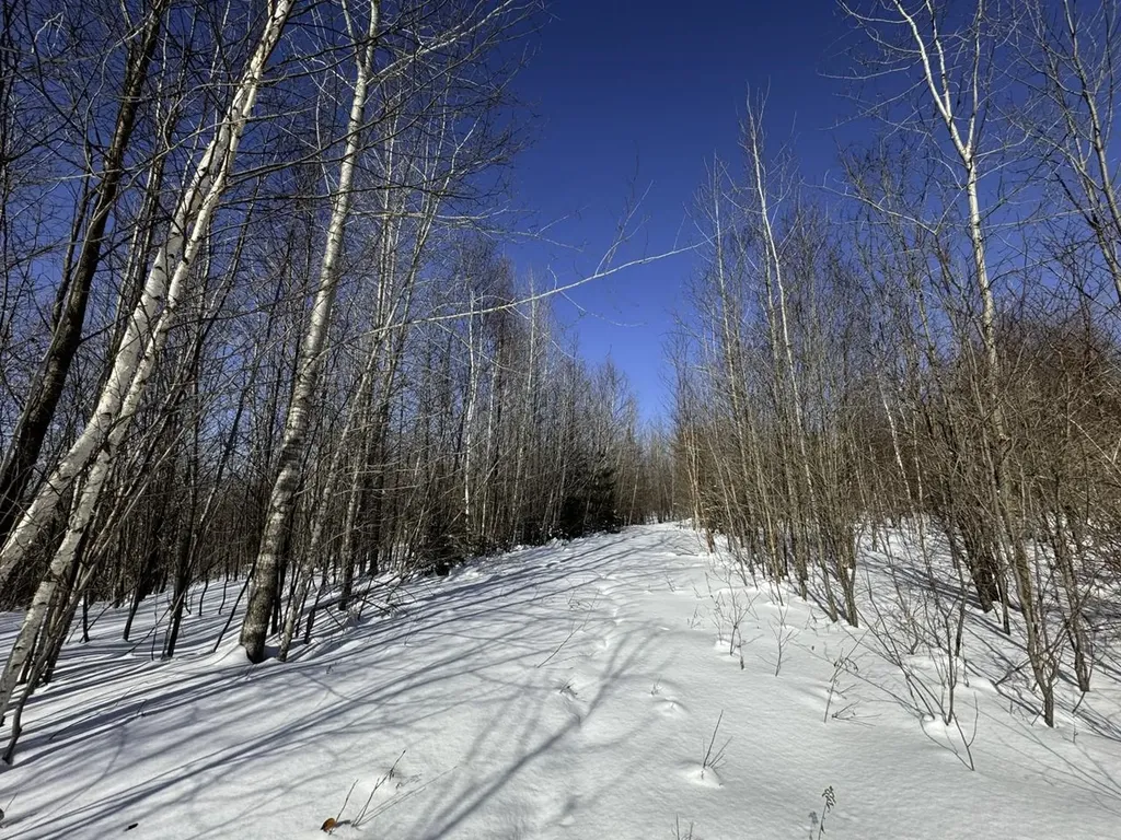 0 Burke Green Road Burke VT 05832