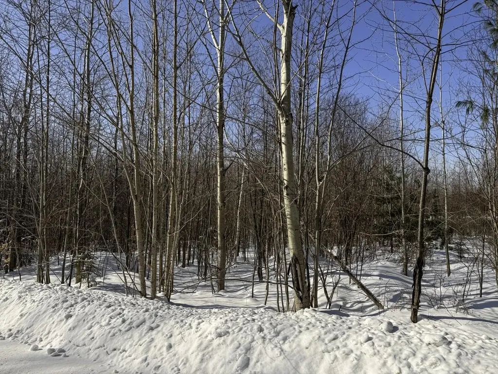 0 Burke Green Road Burke VT 05832