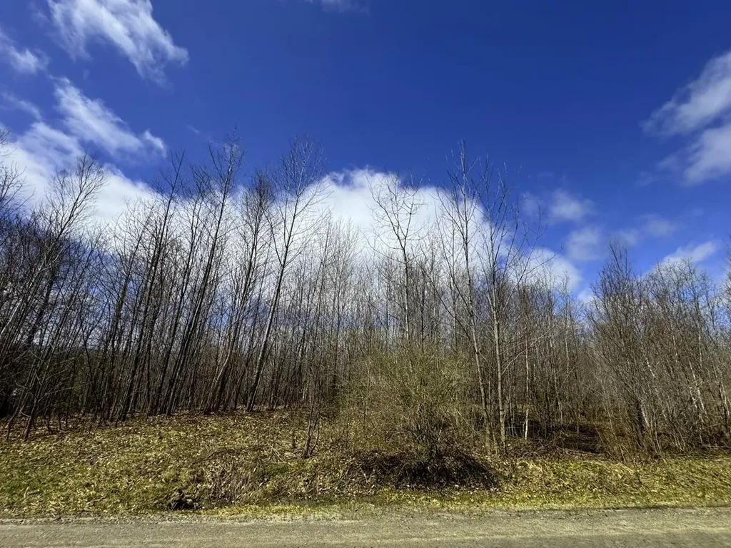 0 Burke Green Road Burke VT 05832