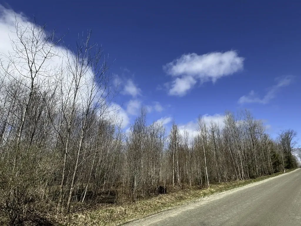 0 Burke Green Road Burke VT 05832