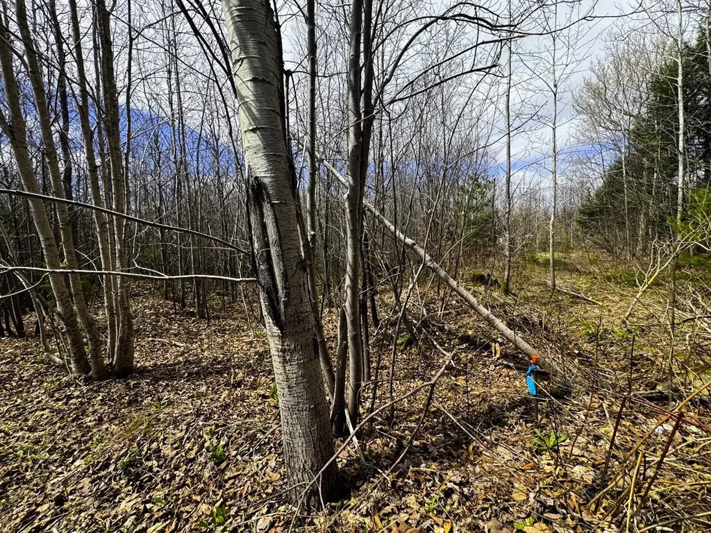 0 Burke Green Road Burke VT 05832