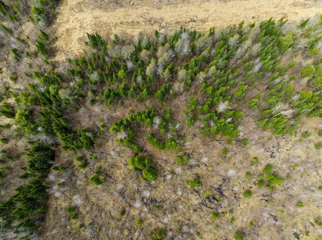 0 Burke Green Road Burke VT 05832