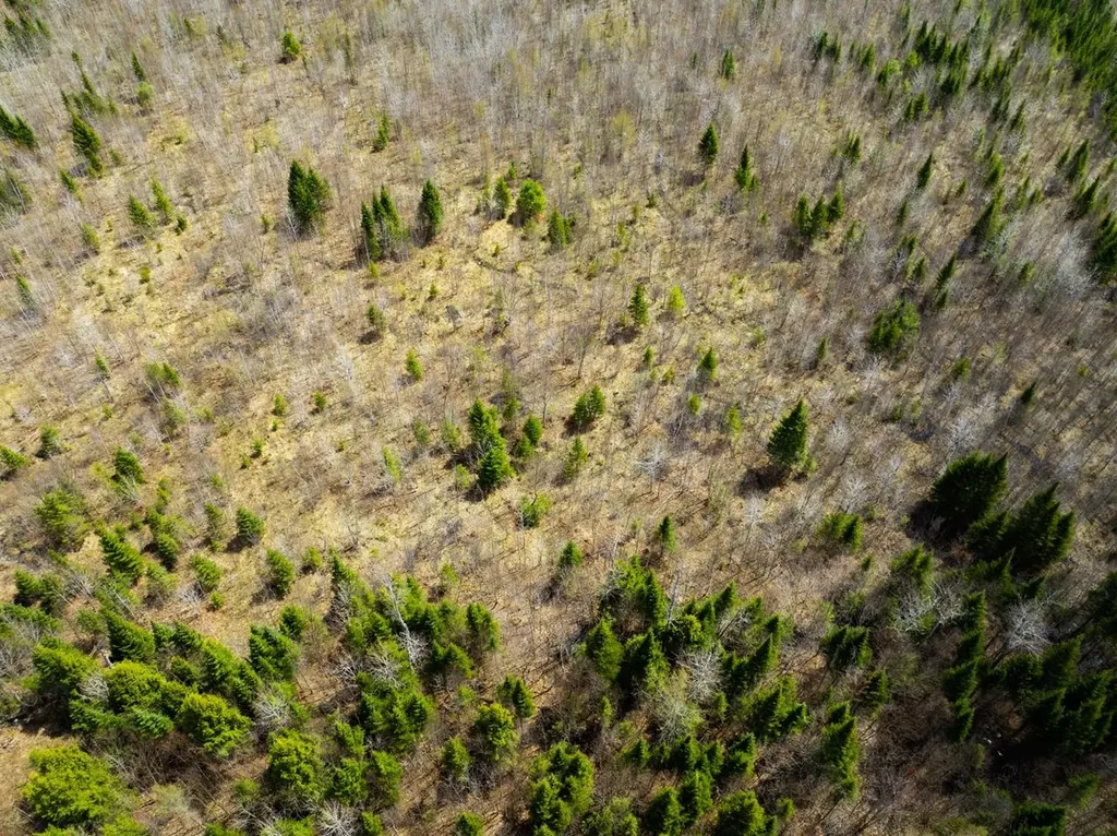 0 Burke Green Road Burke VT 05832