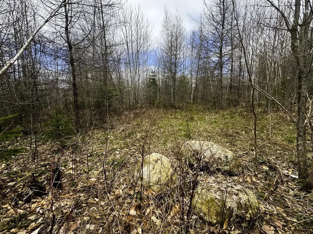 0 Burke Green Road Burke VT 05832