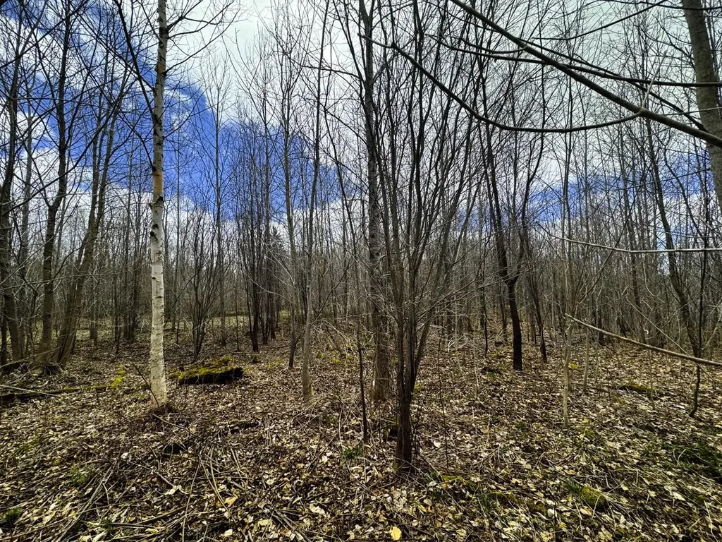 0 Burke Green Road Burke VT 05832