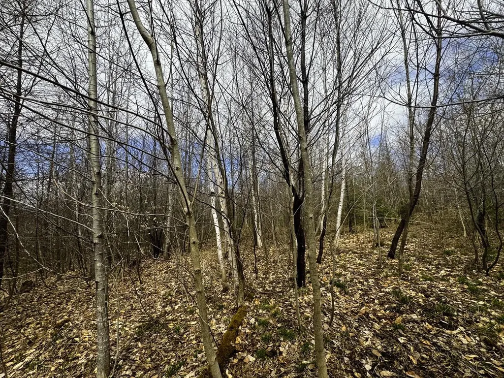 0 Burke Green Road Burke VT 05832