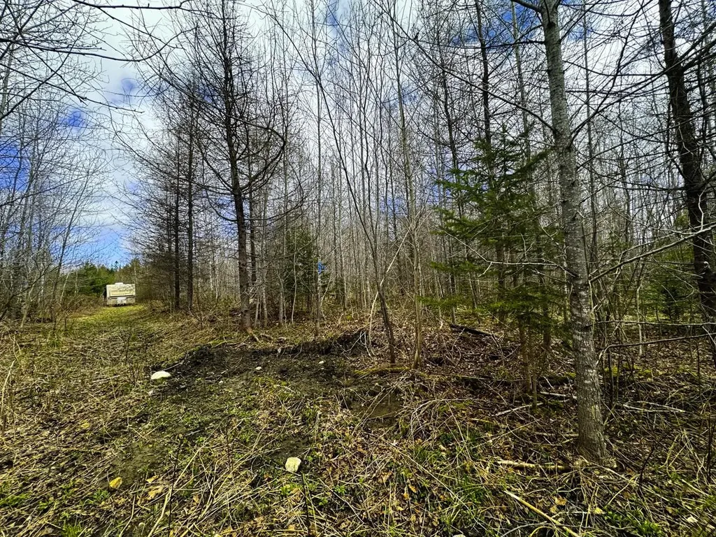 0 Burke Green Road Burke VT 05832