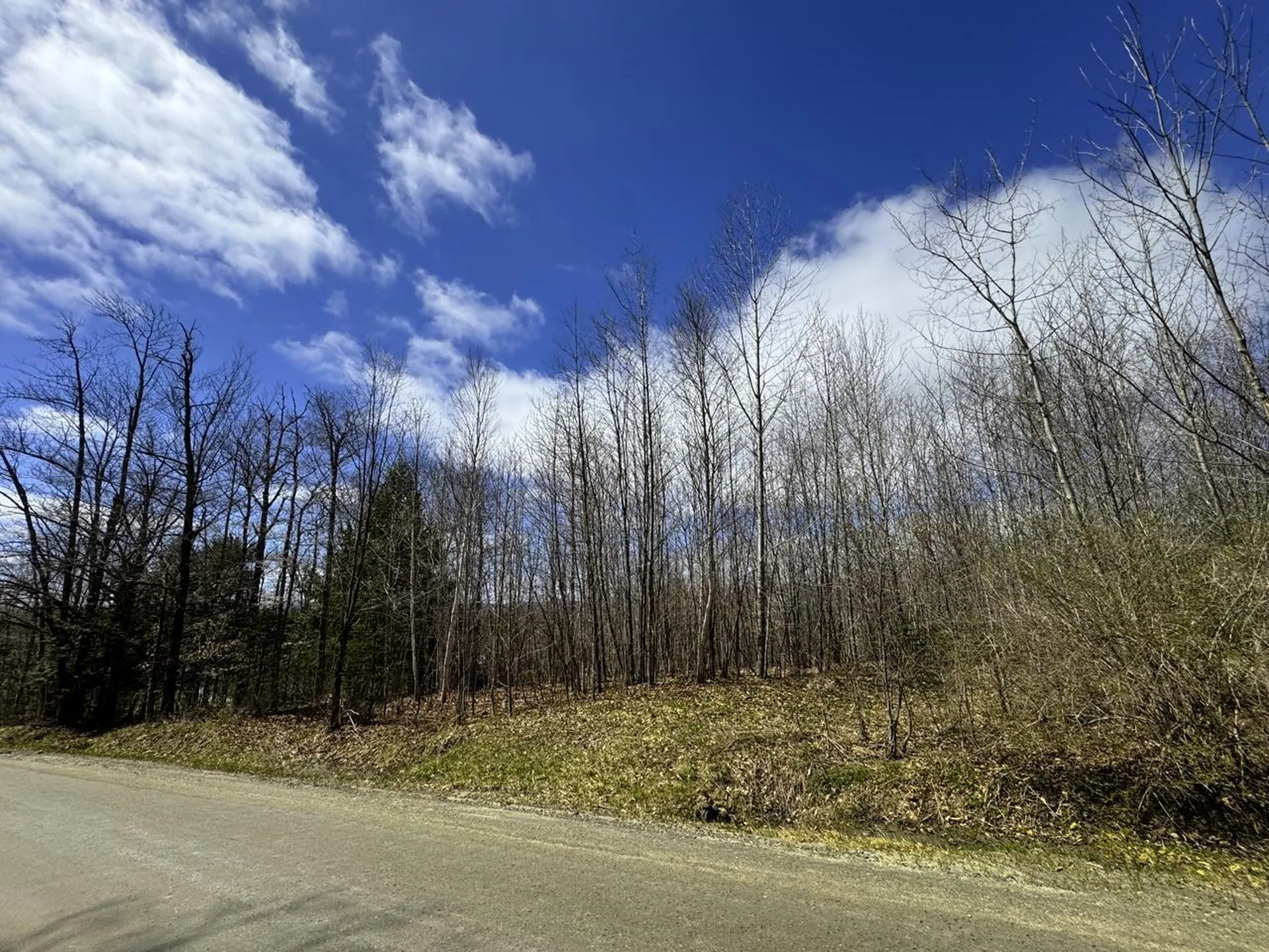 0 Burke Green Road Burke VT 05832