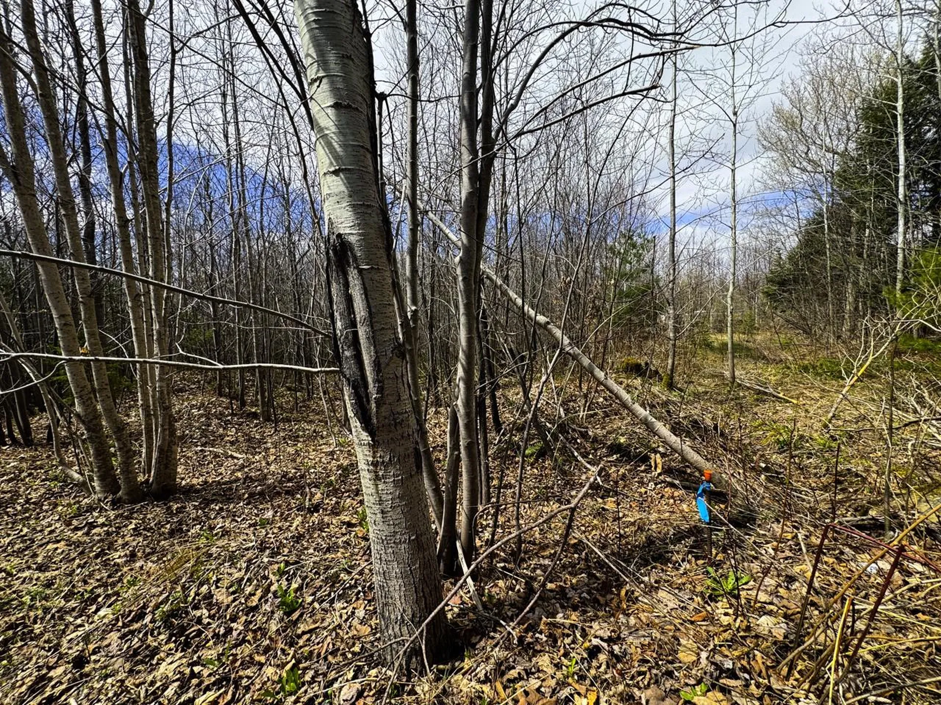 0 Burke Green Road Burke VT 05832
