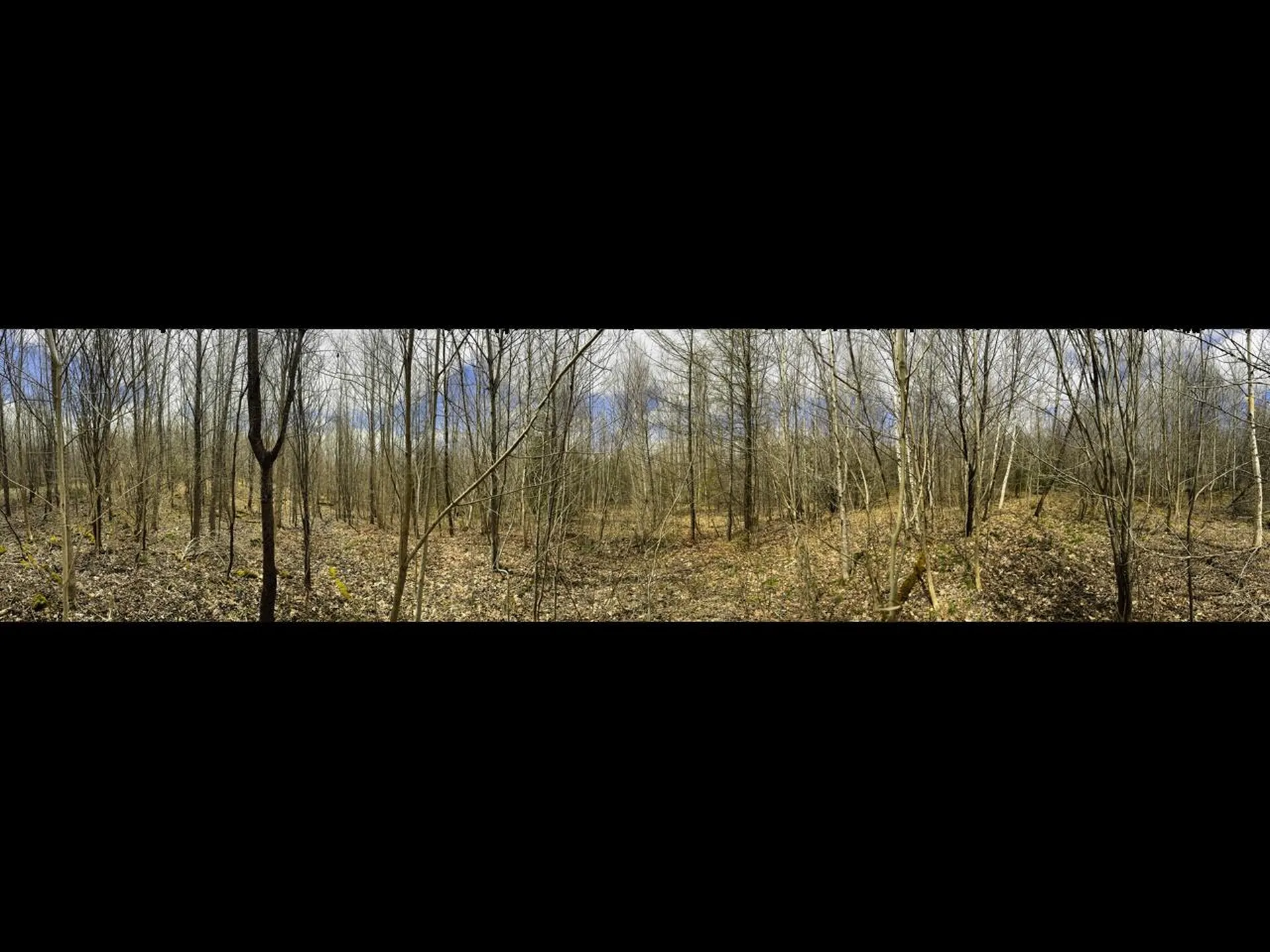 0 Burke Green Road Burke VT 05832