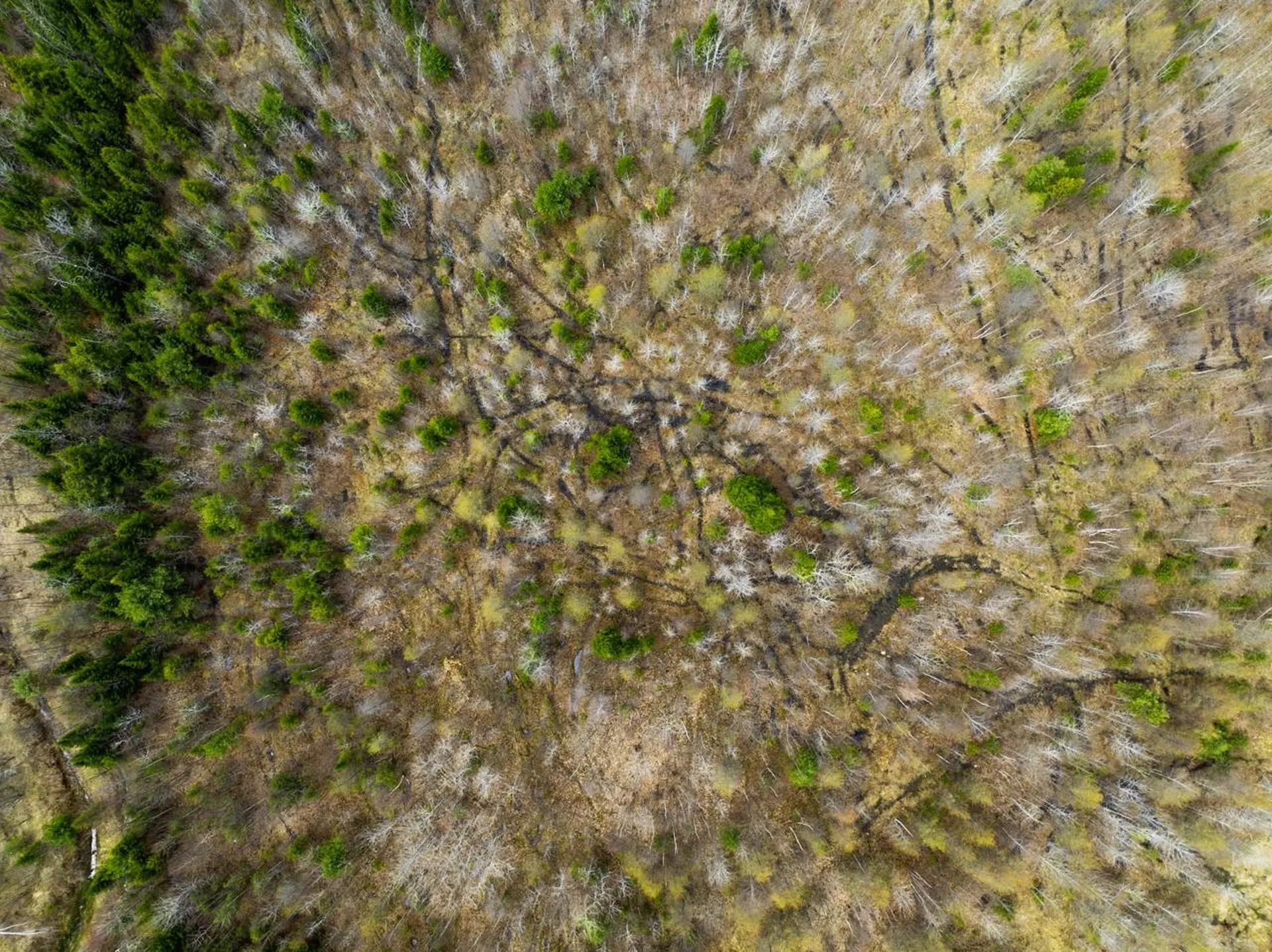 0 Burke Green Road Burke VT 05832