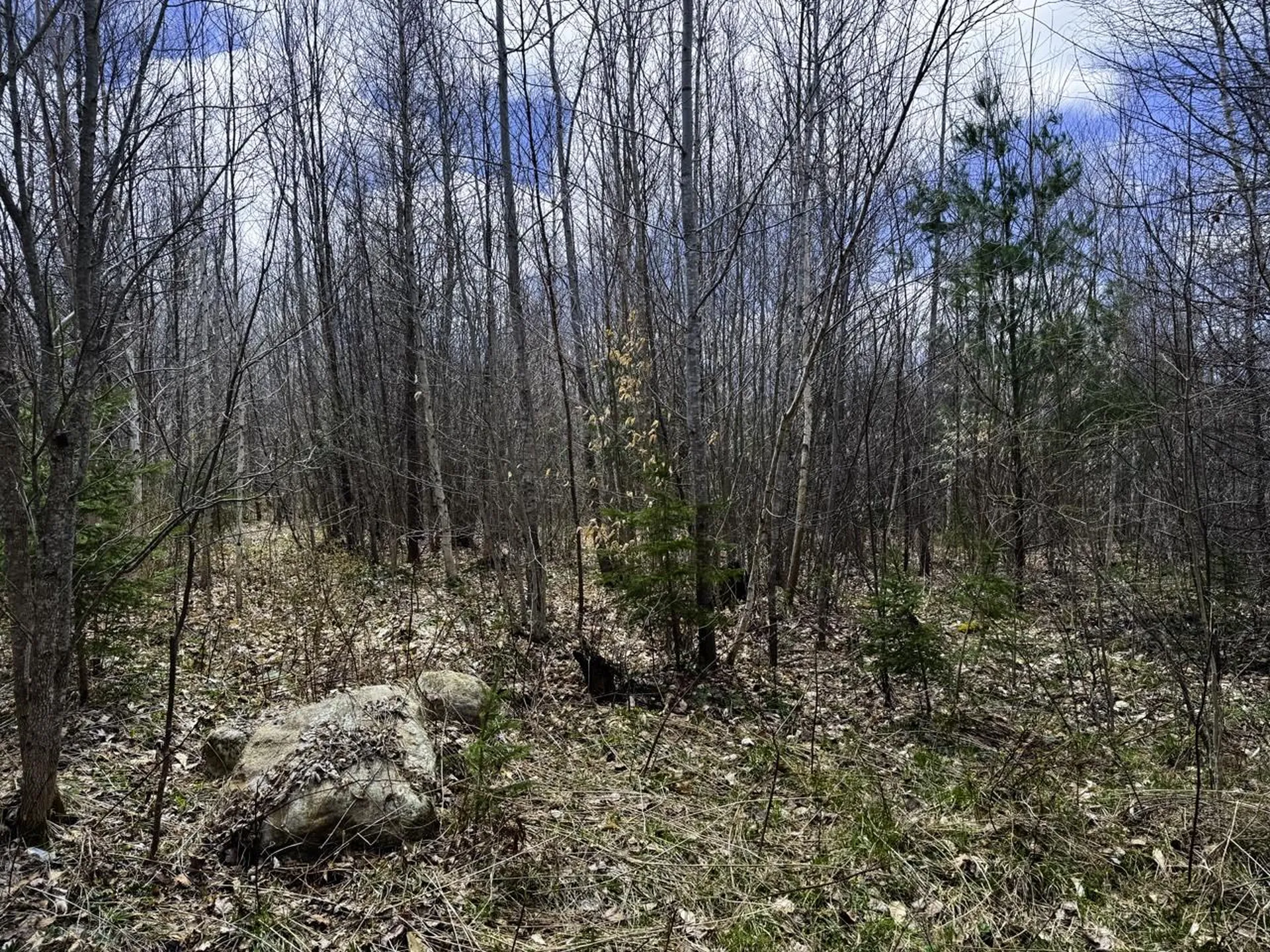 0 Burke Green Road Burke VT 05832