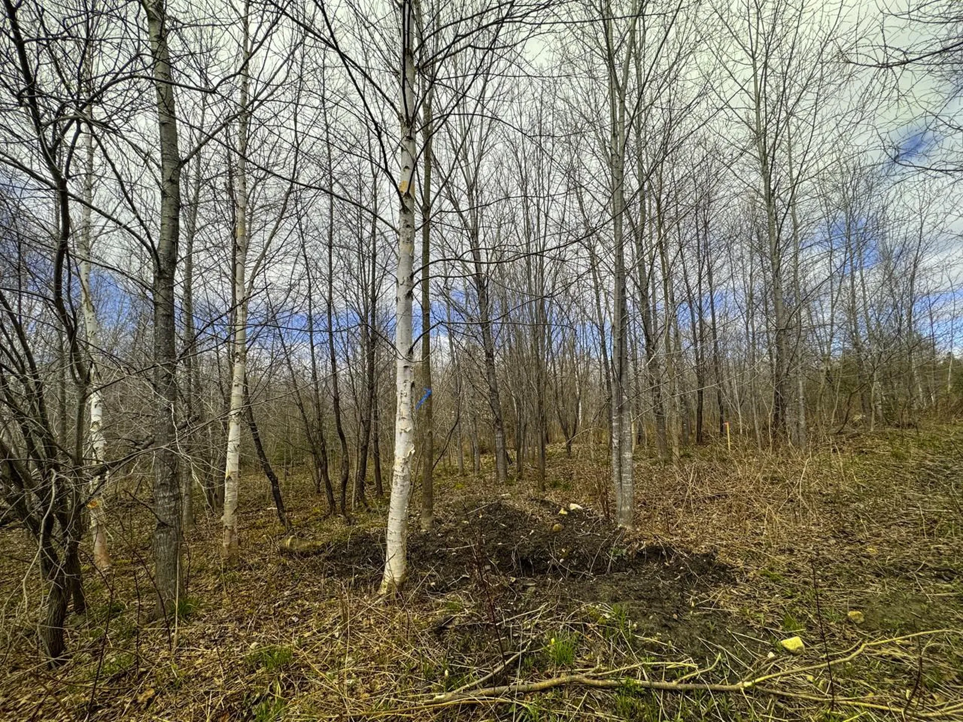 0 Burke Green Road Burke VT 05832