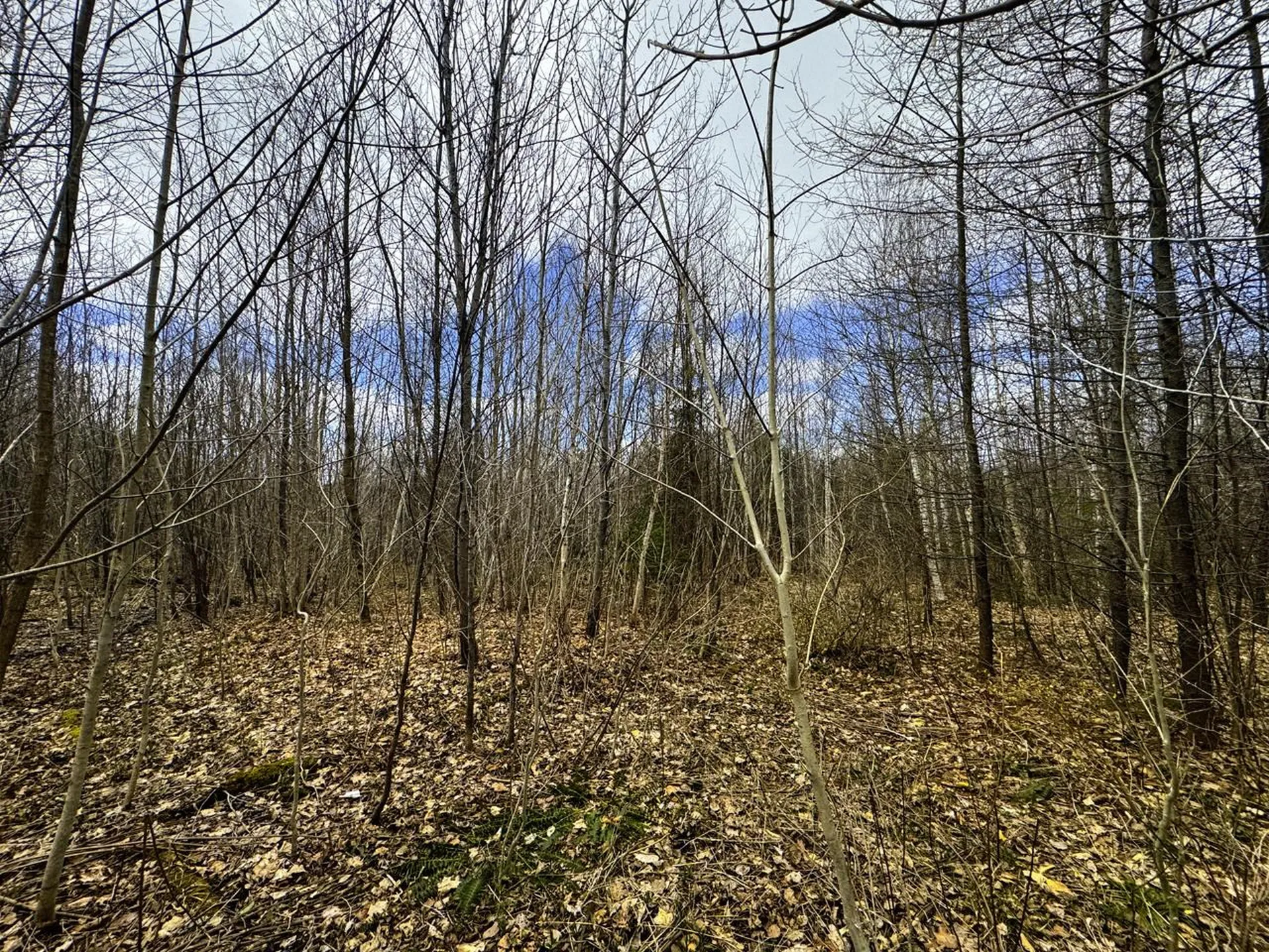 0 Burke Green Road Burke VT 05832