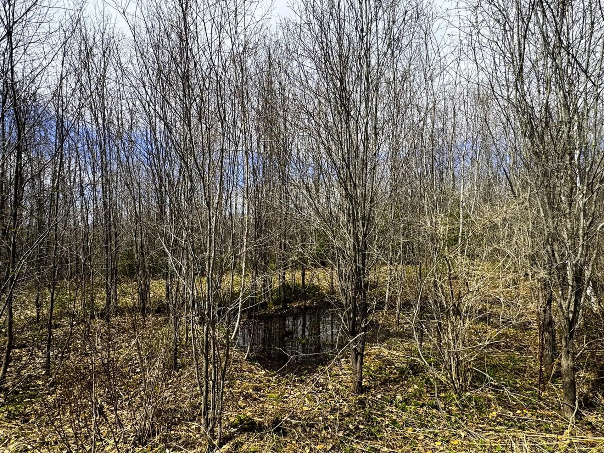 0 Burke Green Road Burke VT 05832