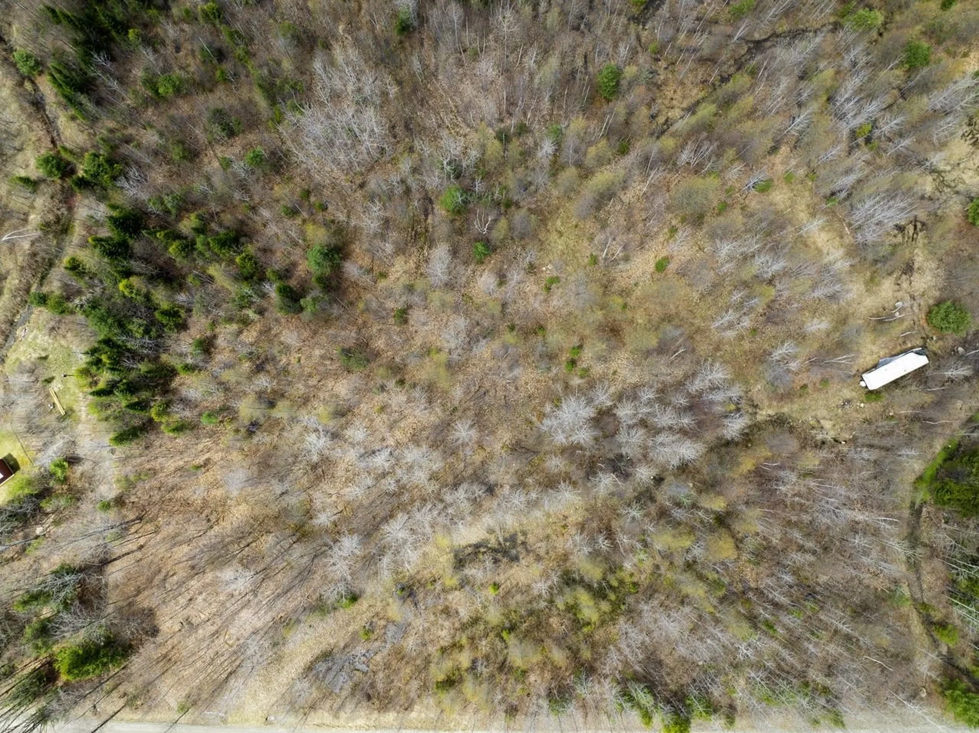 0 Burke Green Road Burke VT 05832