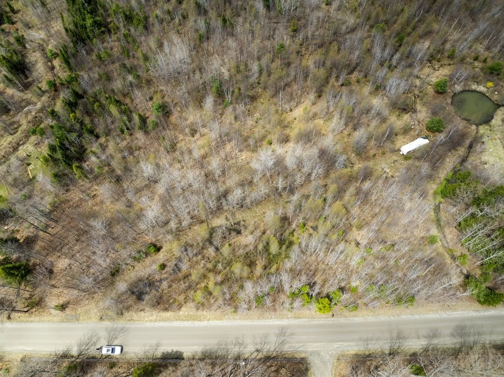 0 Burke Green Road Burke VT 05832