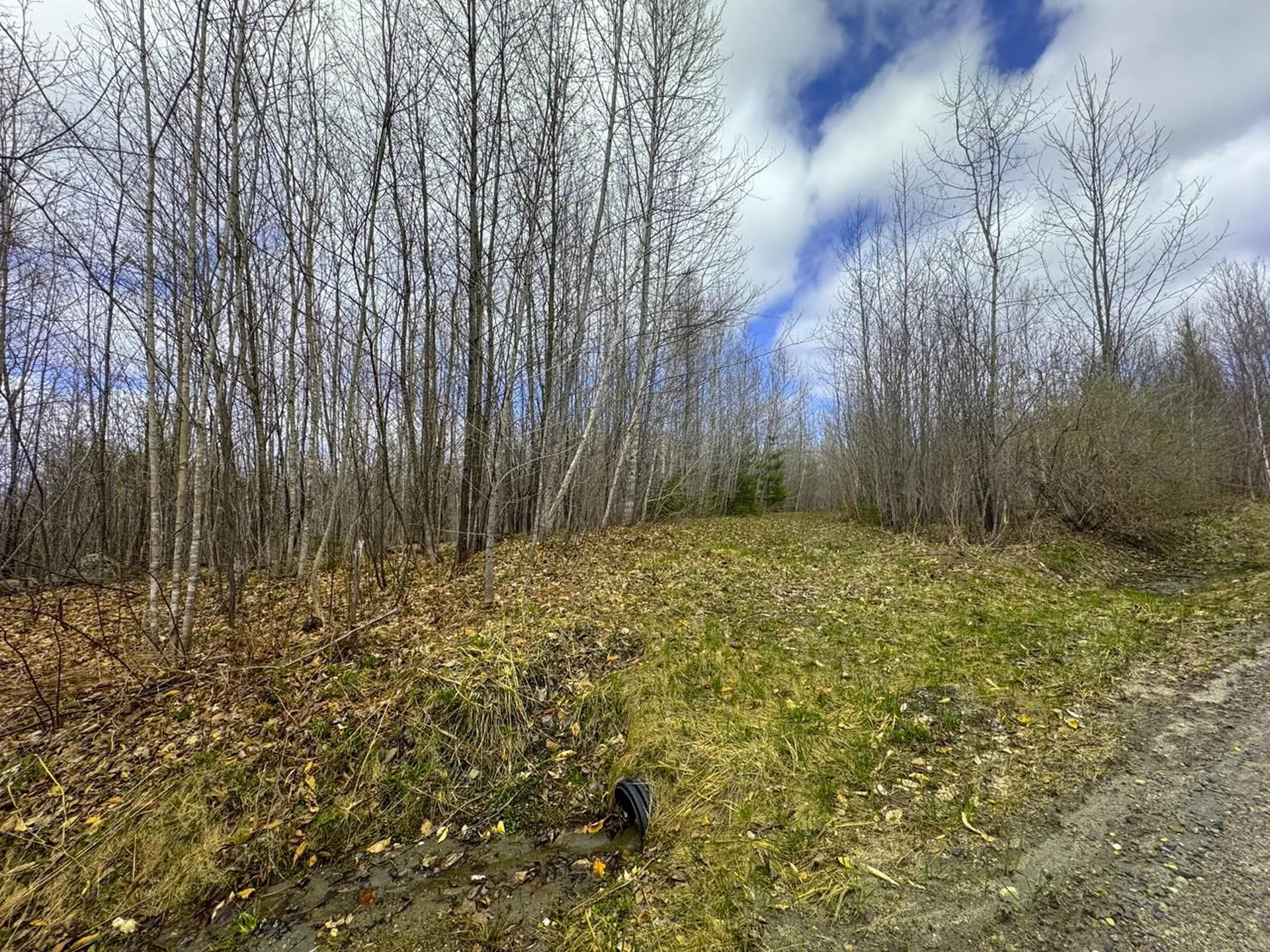 0 Burke Green Road Burke VT 05832