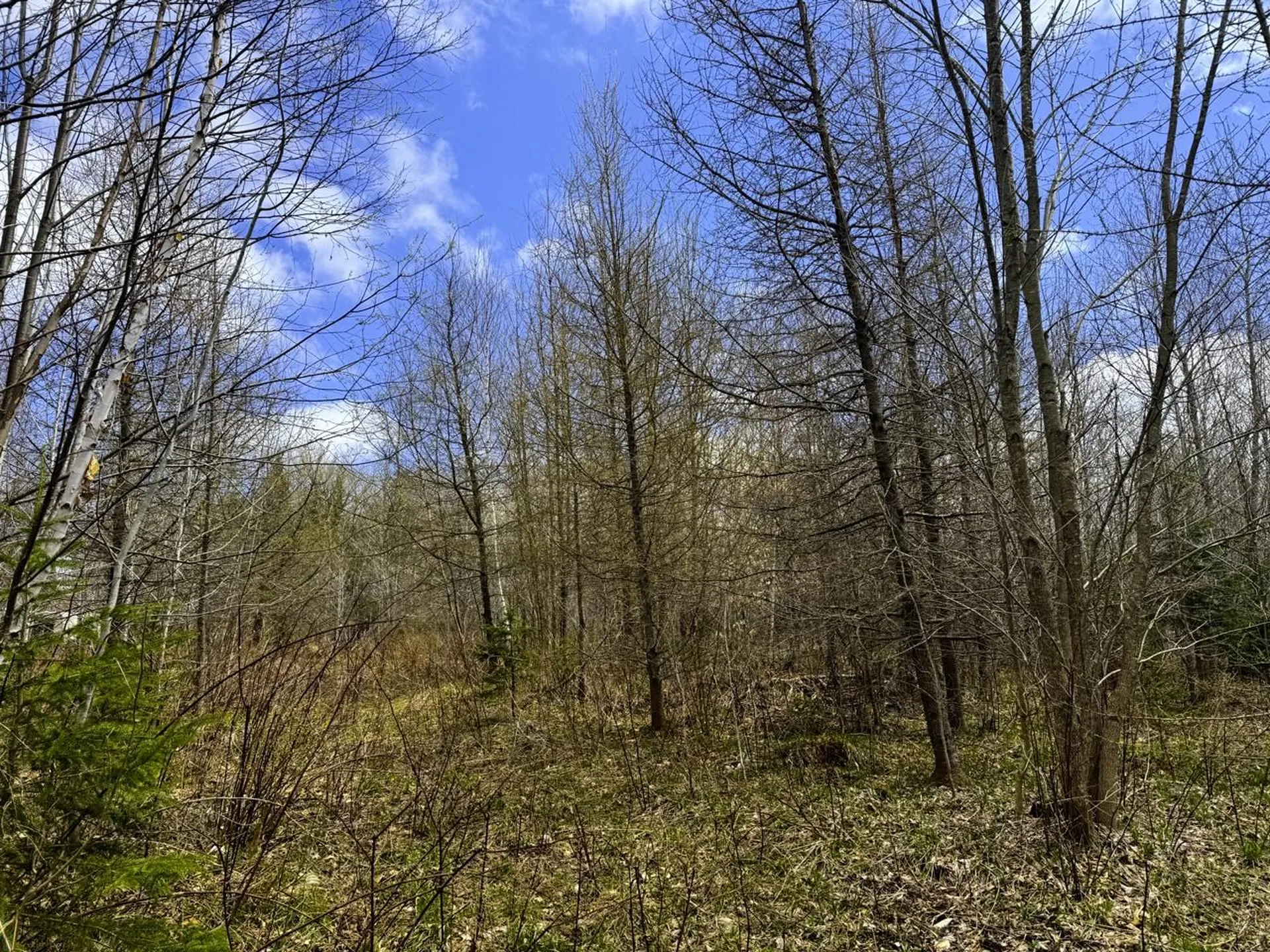 0 Burke Green Road Burke VT 05832