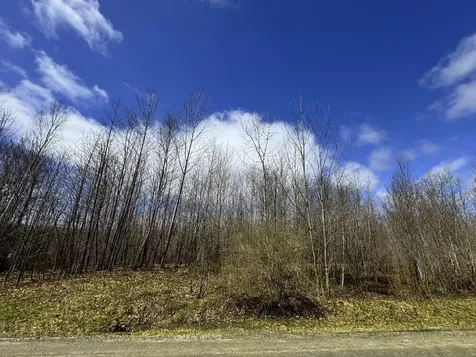 0 Burke Green Road Burke VT 05832