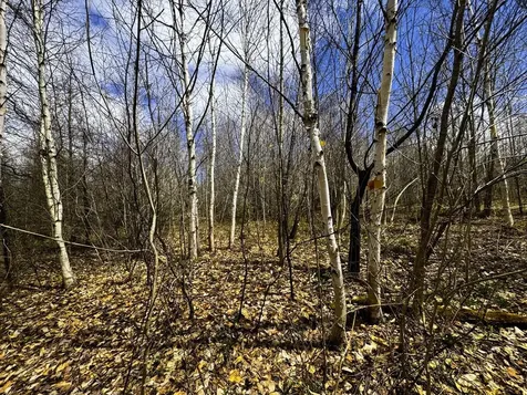 0 Burke Green Road Burke VT 05832